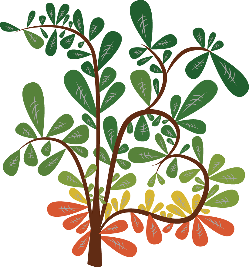 End-to-End Case Management Software Designed by Advocates for Advocates